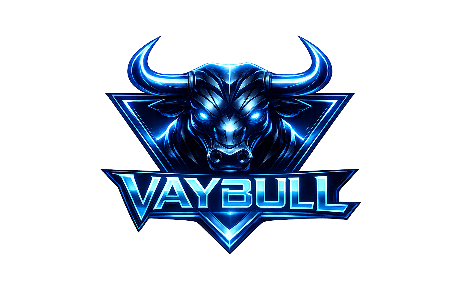 VAYBULL Logo